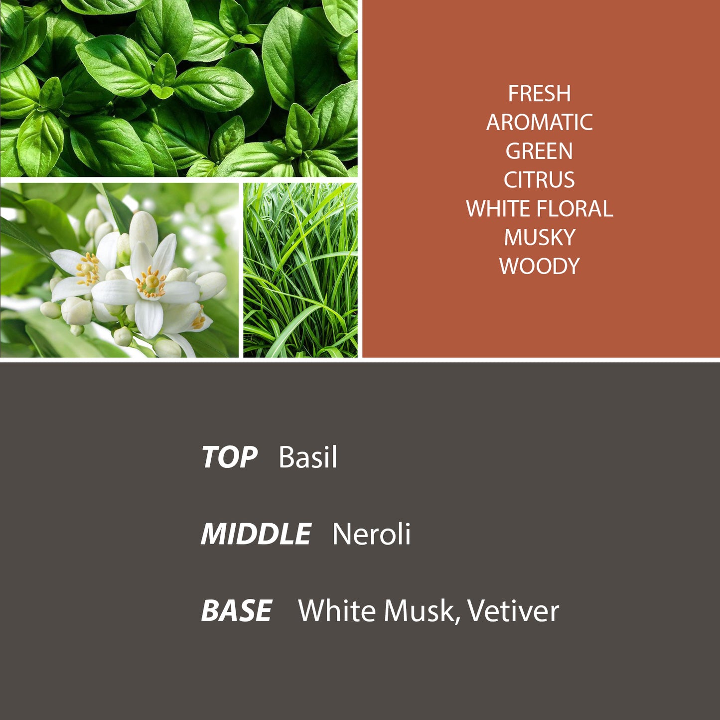 Basil & Neroli